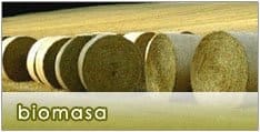 biomasa