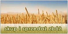 skup i sprzedaż zbóż
