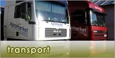 transport